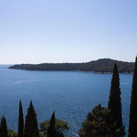 Apartments Villa Ari Dubrovnik Extérieur photo