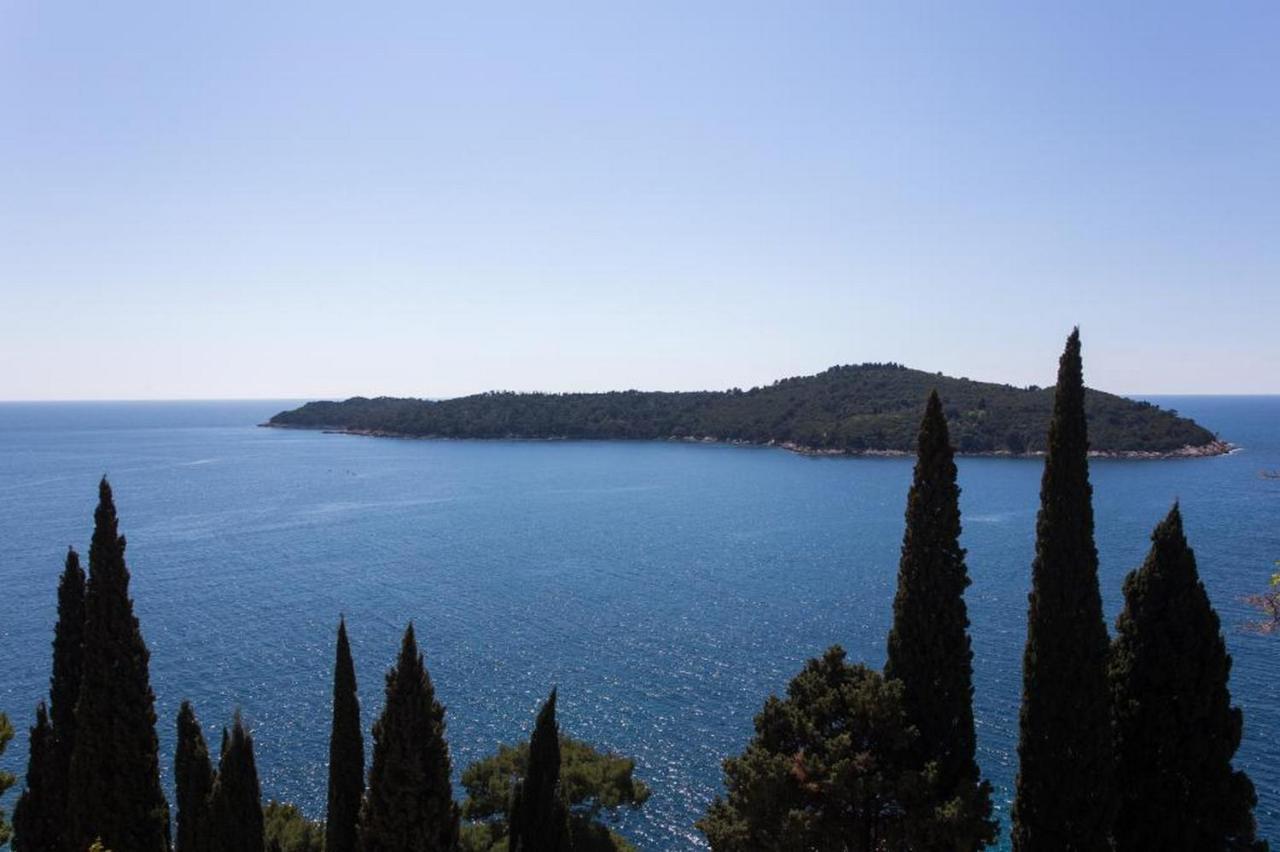 Apartments Villa Ari Dubrovnik Extérieur photo